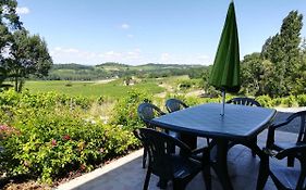Les Vignes